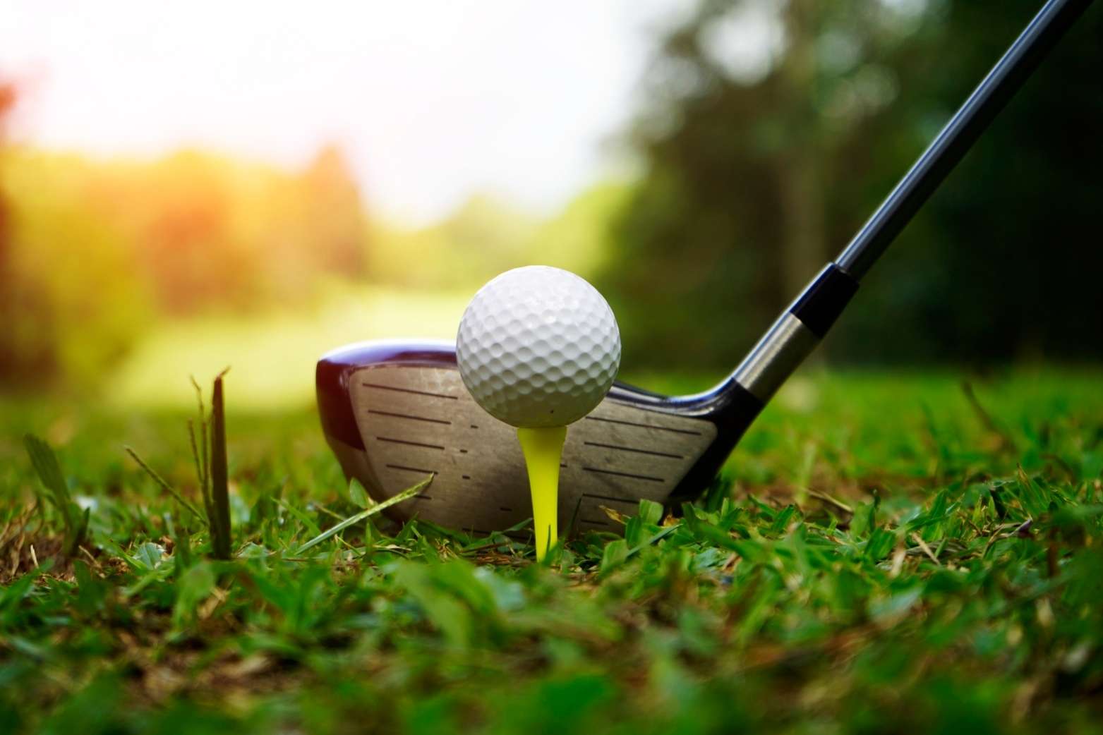 Golfing Near Sanibel Island: Courses You’ll Love