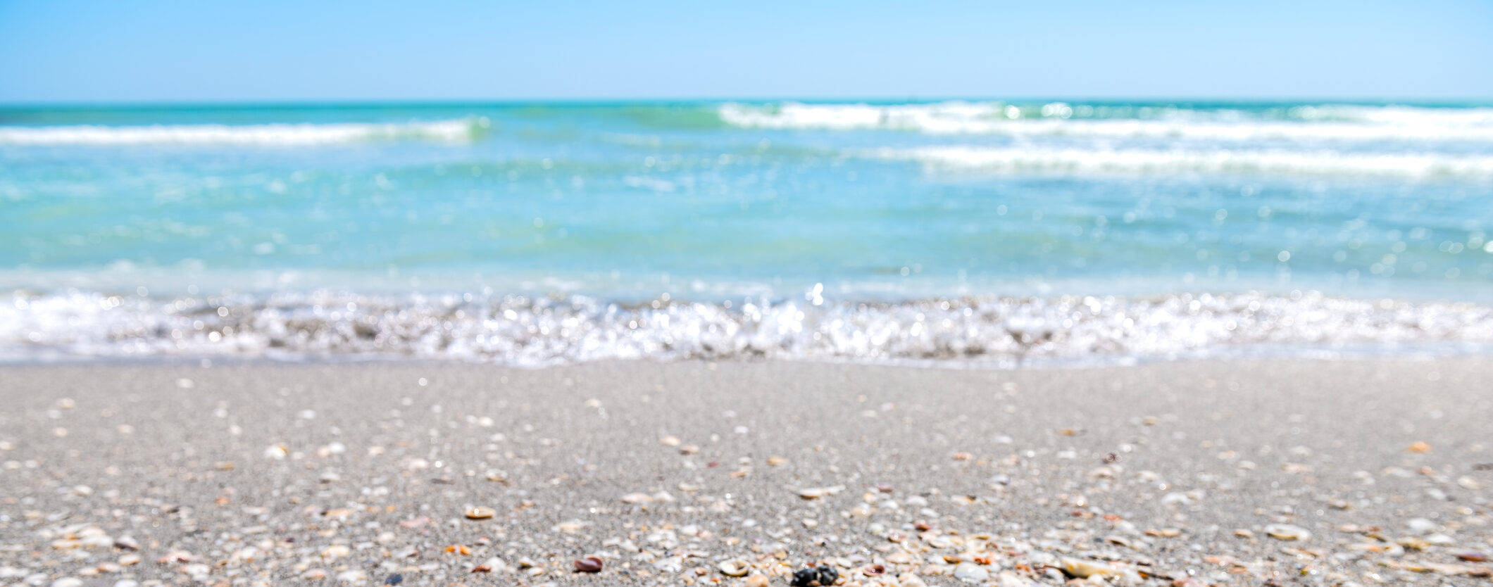 Sanibel Island 2026 beach near Colony Inn